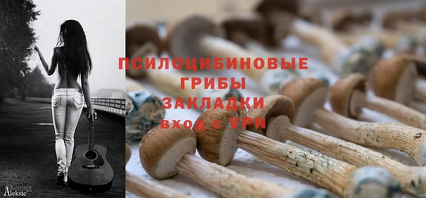 эйфоретик Алзамай