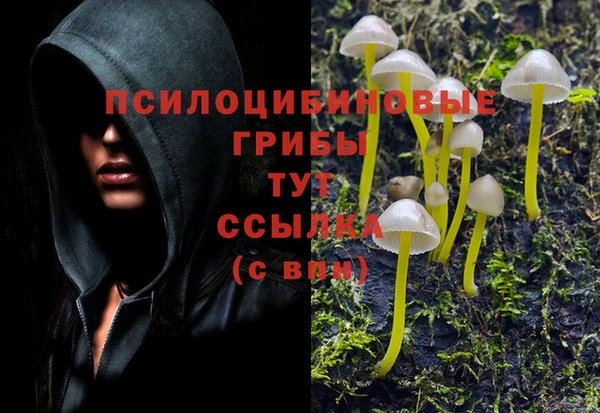 МДПВ Алексин