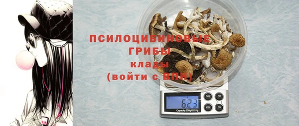 эйфоретик Алзамай