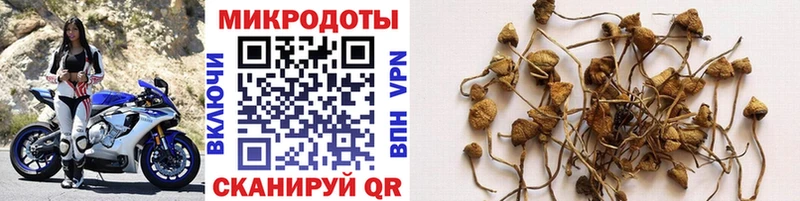 купить наркоту  Ивдель  Галлюциногенные грибы GOLDEN TEACHER 